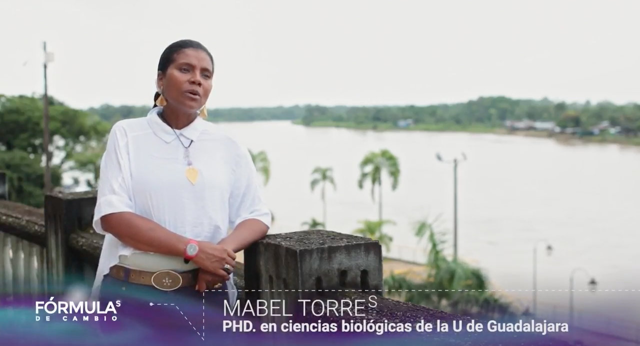 Fórmulas de cambio - Mabel Torres