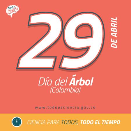 29 de Abril: Día del Árbol 2