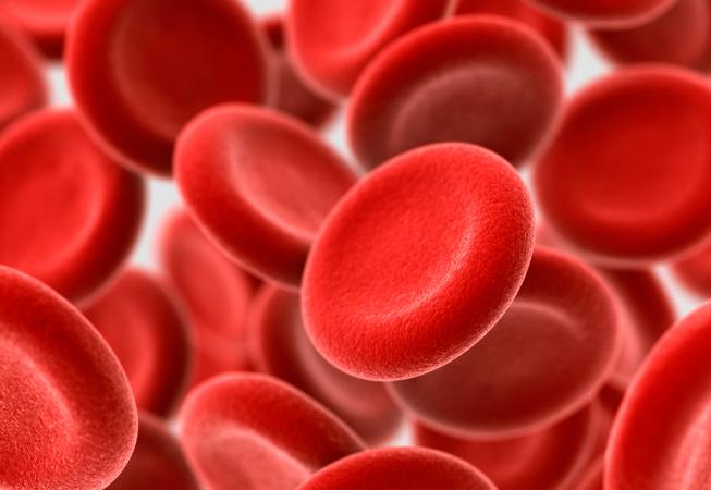 celulas rojas sangre artificial hemoglobina sintética sintetica