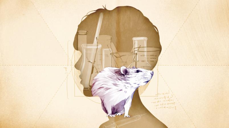 Experimentos con animales. Texto de Juan Sebastián Salazar. Ilustración de Lilondra.